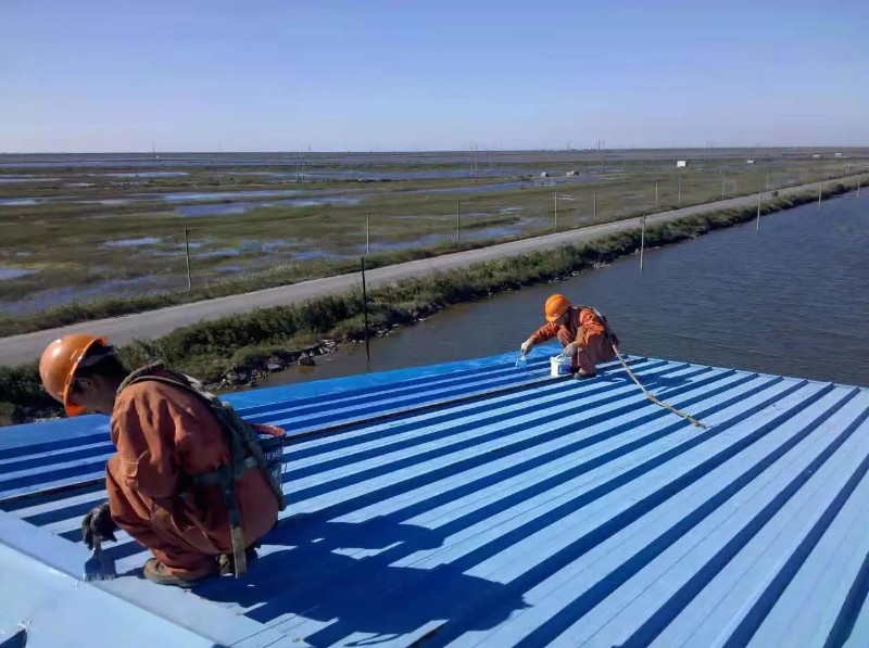 皂市镇彩钢瓦屋面防腐翻新